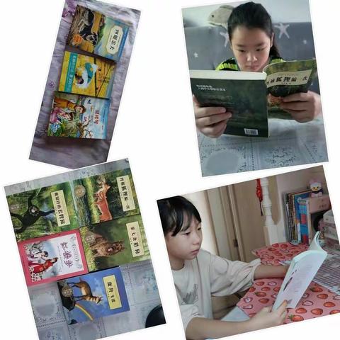 语文暑假作业展示（七） 快乐暑假 快乐成长 ——五四班暑假作业