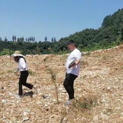 林业局以革命的担当和勇气推深党史学习教育