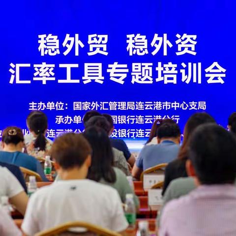 连云港市外汇局举办稳外贸稳外资汇率工具专题培训会