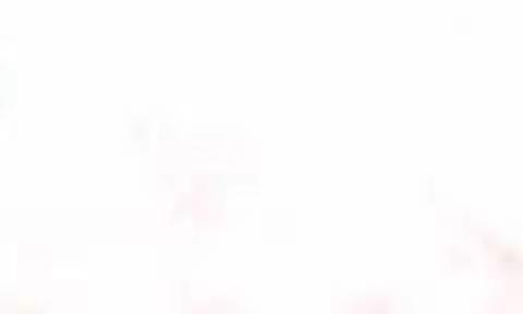 碑林区军人退役事务局访问陕西省慈善联合会