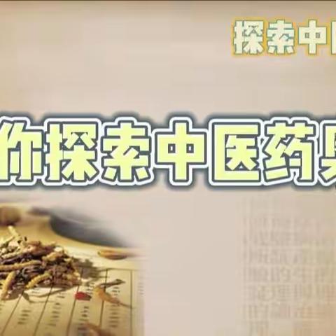 中国式现代化建设河北篇章红领巾研学活动——探索中医药与科技的融合