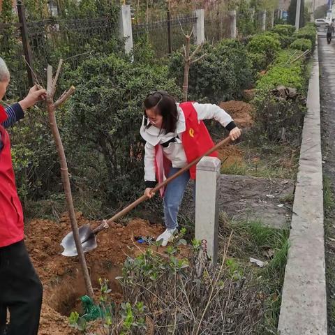 【巩义市新时代文明实践】站街镇寺沟村春季绿化