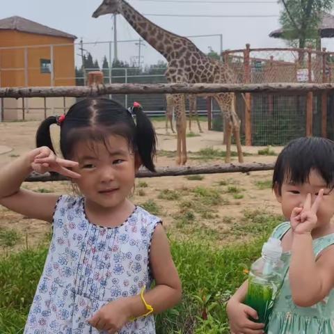 小宝5岁了！
