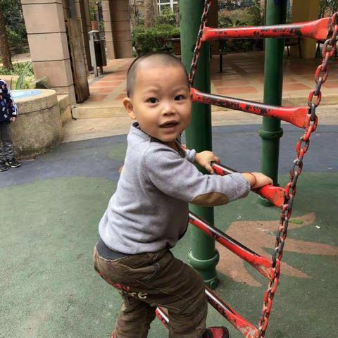 张子和成长记录