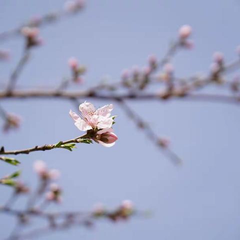 奥跑定向运动训练营