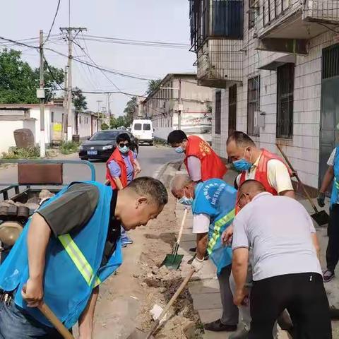 武官村人居环境整治中