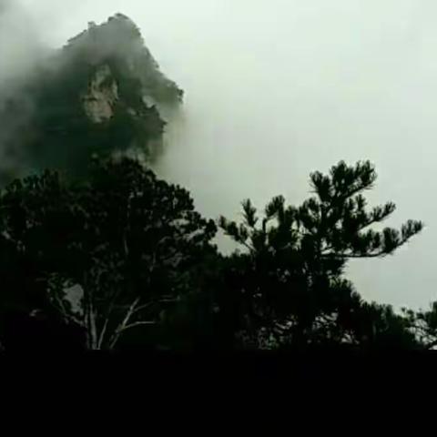 给老家蓝桥古镇打个广告