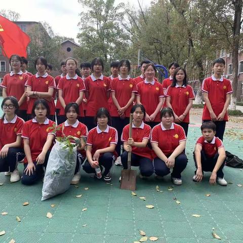 3.12植树造福 绿化振华