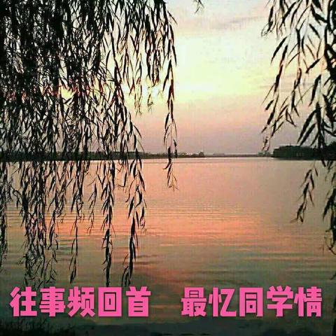 抚州师专78化学同学相册之八