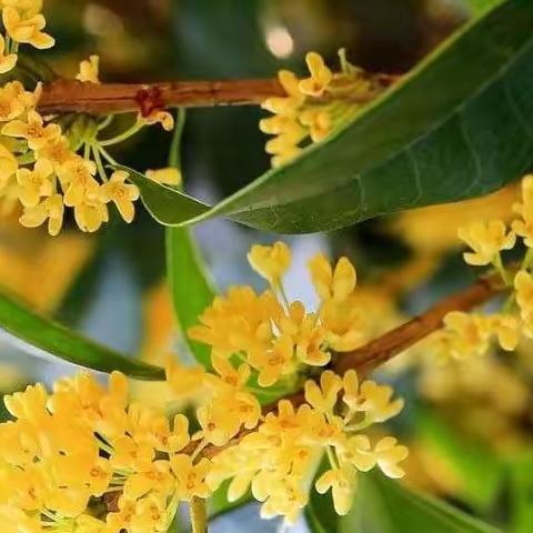 说说咱心中的“78化学”