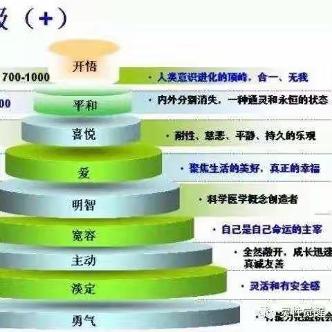 笨人和聪明人学习过程的区别