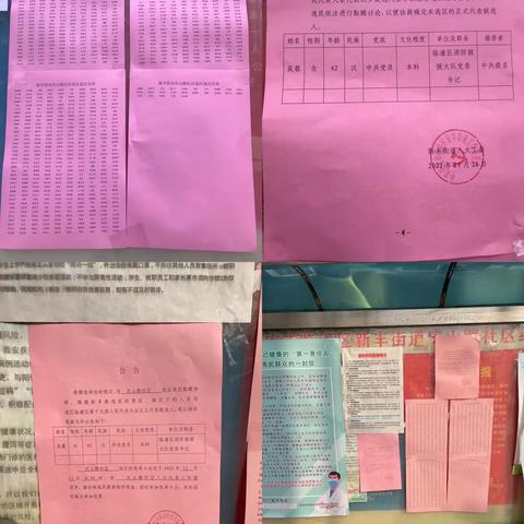 精心组织       依法选举