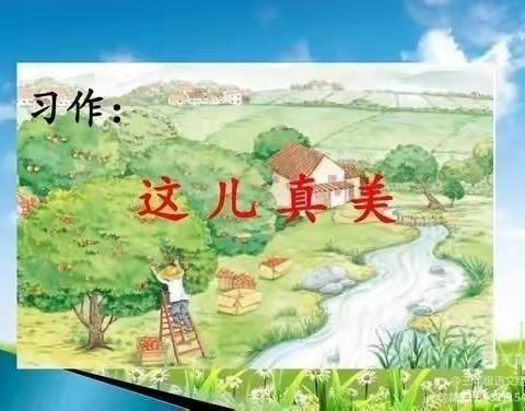 《这儿真美》优秀作文