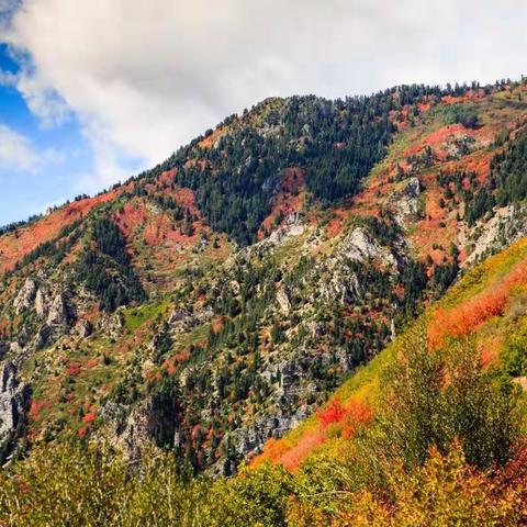 犹他秋色 2017-10-01，Alpine Loop