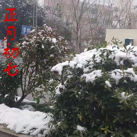 正月初七 下雪了 我写字