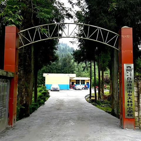 童心共筑新时代 (づ ●─● )づ幸福“六一”齐欢乐