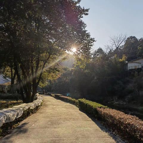 大寒时节忆抗感－一个中医人的感冒自救真实记录（借鉴版）