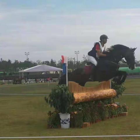 西咸新区农业农村局全力保障十四运马术赛事动物防疫安全