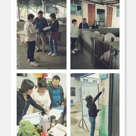 秦汉新城农业农村局开展防控非洲猪瘟告知和承诺工作