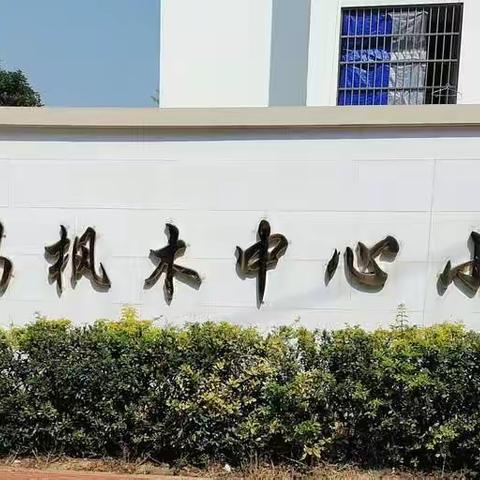 以研促教，以教促学——枫木中心小学第八周教学研讨课