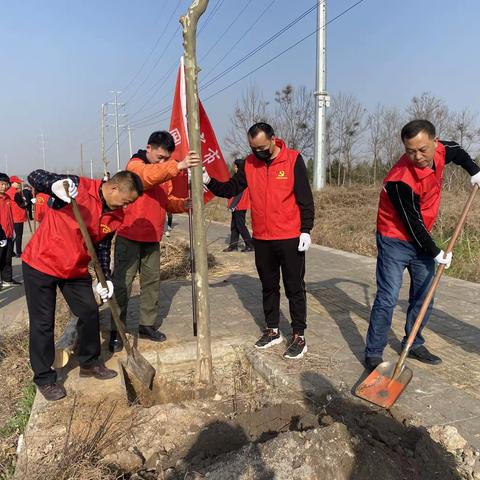 统战部、工商联组织非公经济人士开展义务植树活动