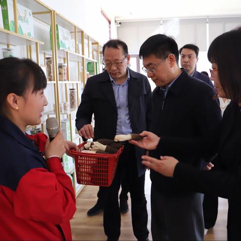 省“万企兴万村”行动工作领导小组到灵宝市调研