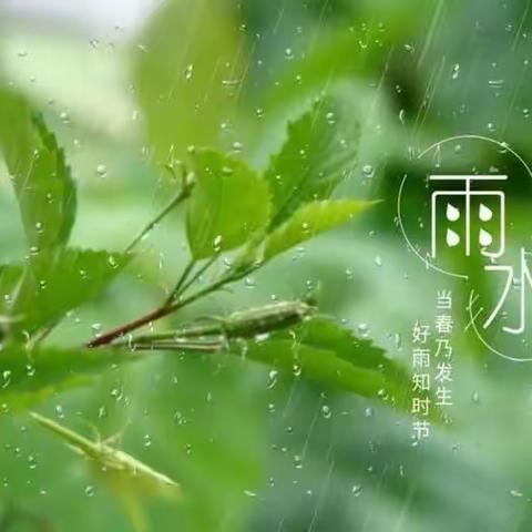 计洪波的美篇