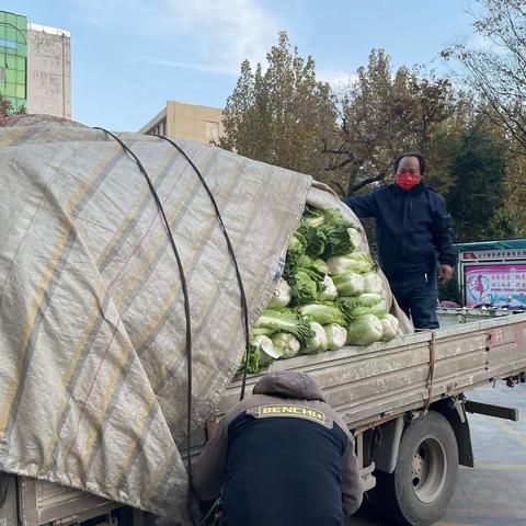今晚加个菜“五花肉白菜炖粉条”——有爱夫妇为区直东社区捐赠4吨大白菜
