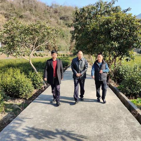 2022年度塘坊村乡村振兴示范村创建工作周动态（2月28日-3月6日）