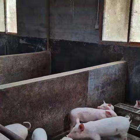 塘坊村乡村振兴示范村创建工作周动态（2月21日至2月27日）