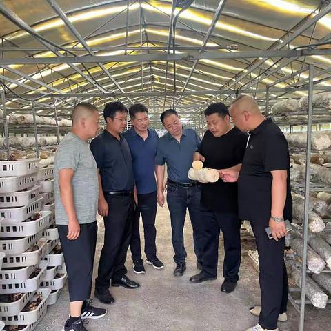 7月2日，广佛镇党委书记柳德军带队到宝鸡市扶风县考察食用菌产业