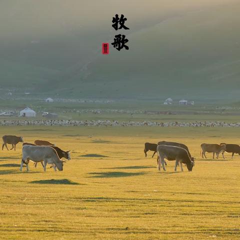 我骑着马儿走过了伊犁（下）