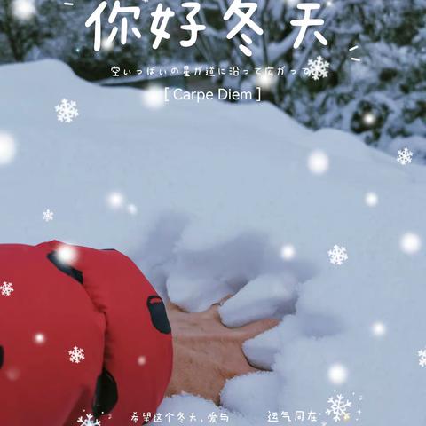 下雪了