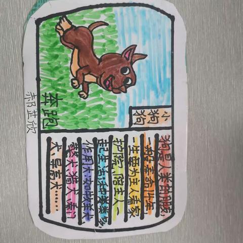 实验小学创奇班之我的动物朋友——动物卡片