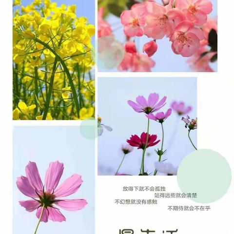 拥抱大自然，让孩子健康成长——归村南街幼儿园清明节踏春主题活动