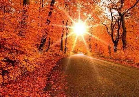 与落叶共舞——-树叶粘贴画