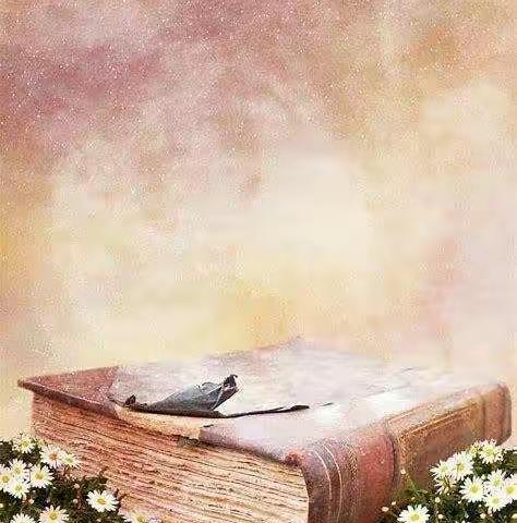 [半壁店小学]做幸福的书香教师——教师暑假读书活动