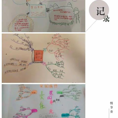 绘思维导图  展语文之美––六朝园小学五年级下册语文四单元实践作业展