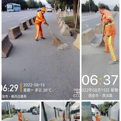 西沣路环境卫生大整治日报