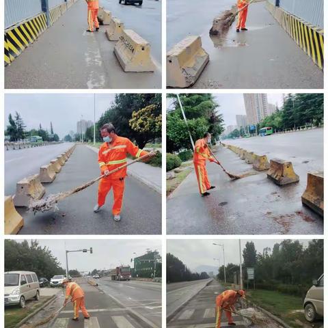 西沣路环境卫生大整治日报