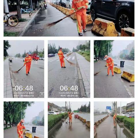 西沣路环境卫生大整治日报