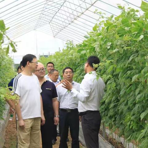 人行巴中中支陈学建行长一行到平昌调研督导金融扶贫工作