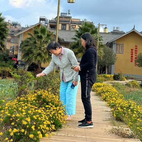 游记16 2023-11-13（原创）抚仙湖风景区住 “马房村”