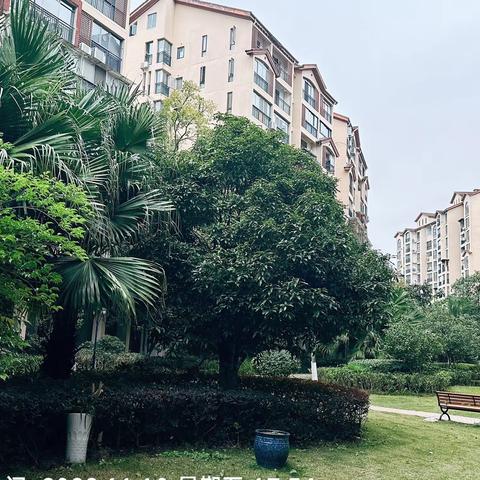 游记13 2023-11-10（原创）重游贵阳