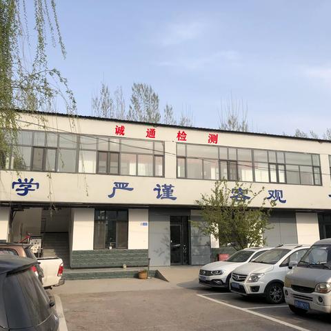 邯郸诚通的香椿树在长大