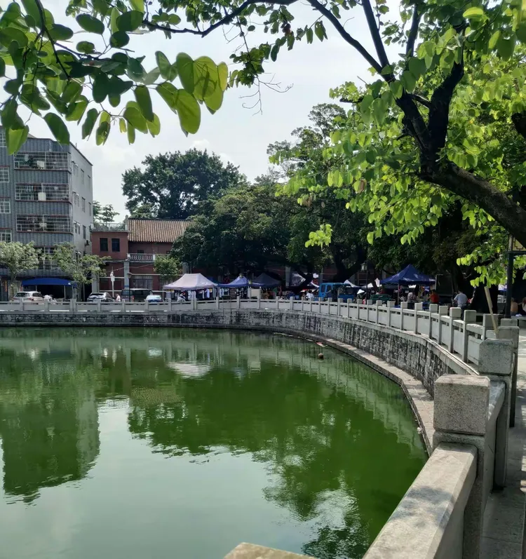 2019 06 30 广州黄埔南湾水乡