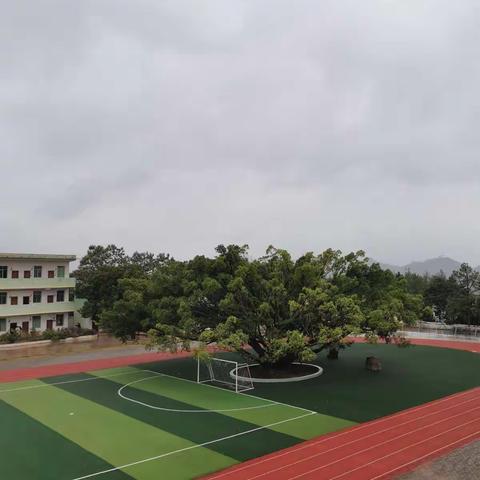 秋雨迎诗意，教研唤灵思——记于都县禾丰片区【黄田初中】初中化学区域教研活动