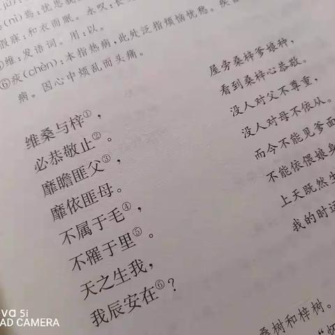 《诗经》中的名字