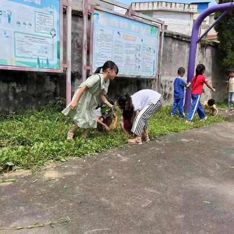 五育促发展，劳动促成长——小黄坑小学校内劳动实践基地纪实