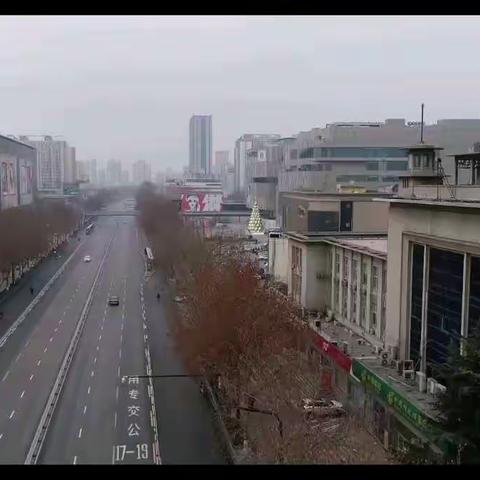 疫情过后依然是春天     天依然会蓝     花依然会开       你依然平安
